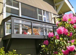 photo of window cat patio - catio
