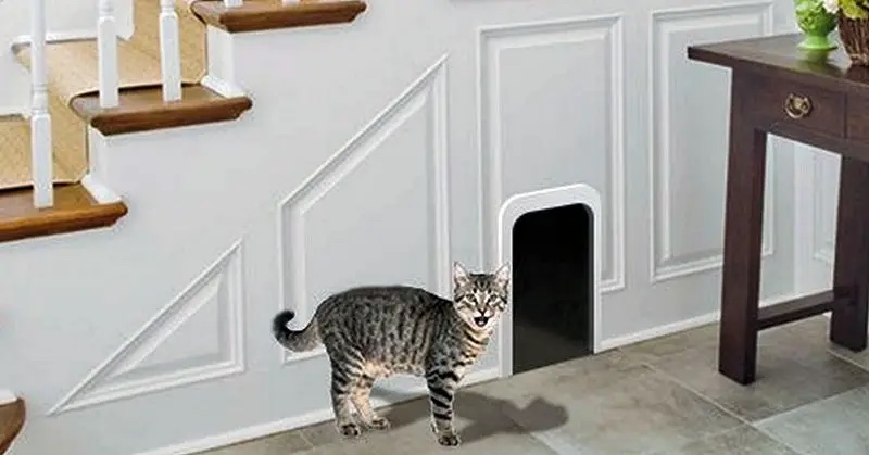 photo of cat going into hidden litter box under home stairs
