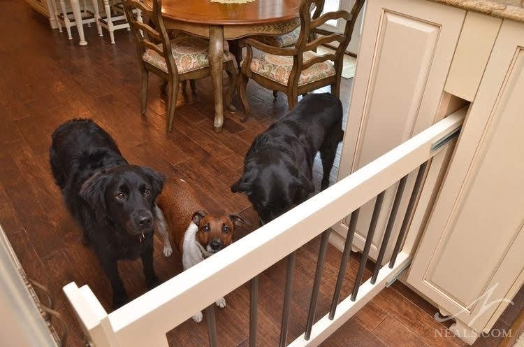 photo of dogs behind pet gate